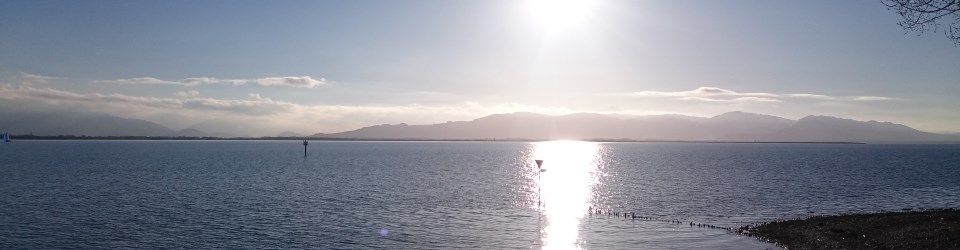 Header 18